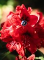 DSC00152.jpg